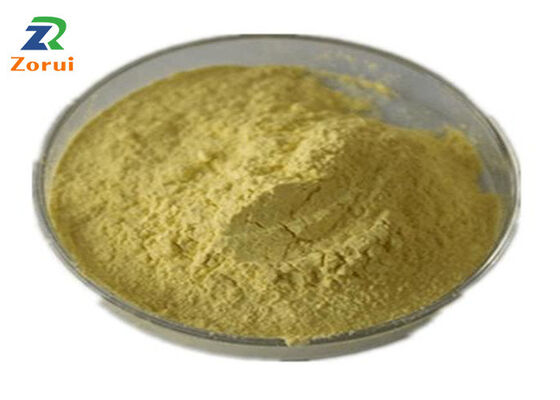 Goede prijs. Quercetine CAS 117-39-5 Sophora Japonica Extract Cosmetische kwaliteit Natuurlijke antioxidant Flavonoïden voor huidverzorging online