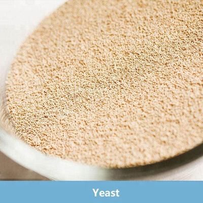 Goede prijs. Zoutarm Instant Dry Yeast 500g Vacuümverpakking Voor brood Gist Organic Powder Voedingsmiddelen online