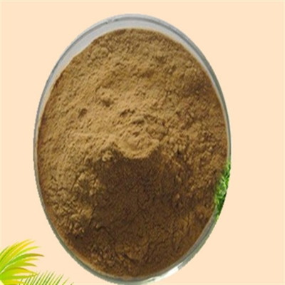 Goede prijs. CAS 84604-15-9 Serenoa Serrulata Fruit Extract ISO Factory Saw Palmetto Extract online