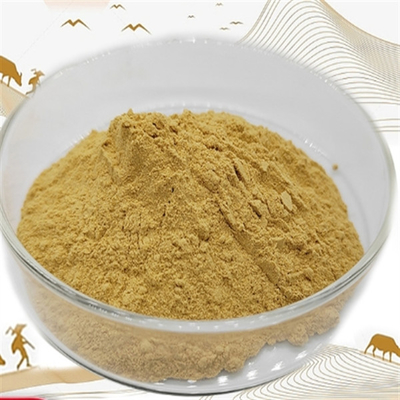 Goede prijs. CAS 90045-38-8 Ginseng Extract Voedingssupplement Panax Ginseng Root Extract online