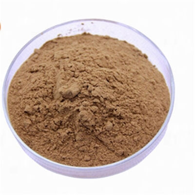 Goede prijs. Ginkgo Biloba Extract CAS 90045-36-6 Cosmetisch anti-oxidant Flavonoïde voor anti-aging huidverzorging online