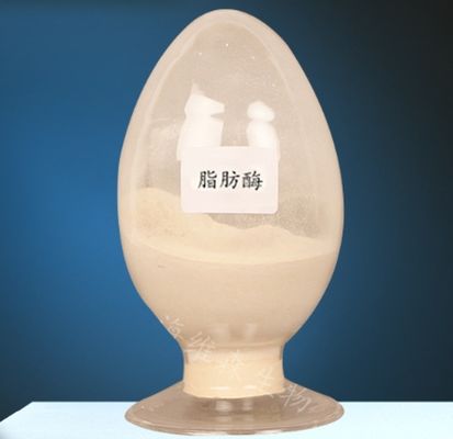 Goede prijs. Lipase-enzym CAS 9001-62-1 voor lipide metabolisme 99% zuiverheid online