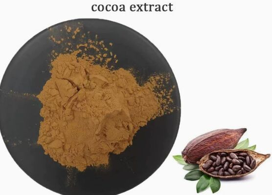 Goede prijs. CAS 84649-99-0 Theobroma Cacao-extract voor voedsel- en drankcacao-extract online