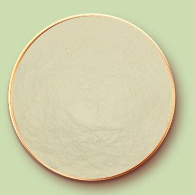 Goede prijs. CAS 9010-66-6 Zein Poedermaïseiwit voor zoetwaren en tabletcoatings online