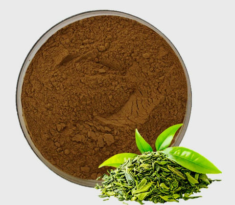 Goede prijs. Hoge zuiverheid EGCG groene thee extract Natuurlijke antioxidant Cosmetische kwaliteit thee polyfenol poeder online